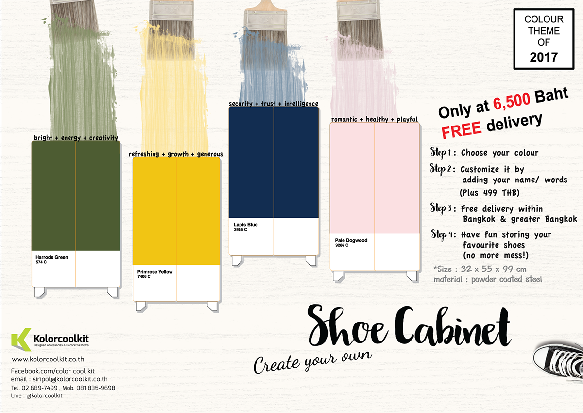 ตู้เก็บรองเท้า  COLOR THEME OF 2017